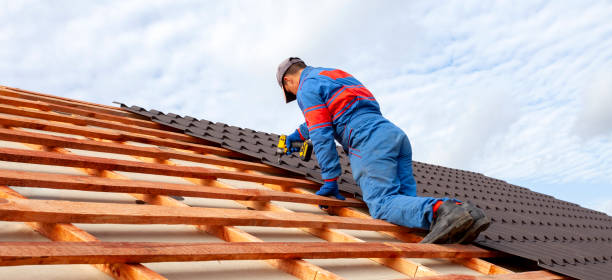 Best Roof Moss and Algae Removal  in Roan Mountain, TN