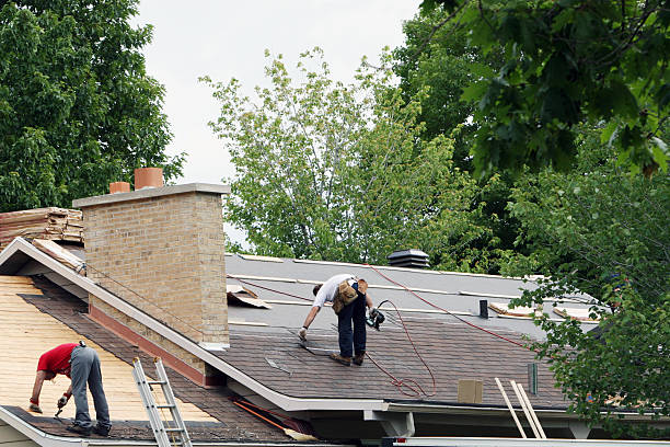 Best Roof Ventilation Installation  in Roan Mountain, TN